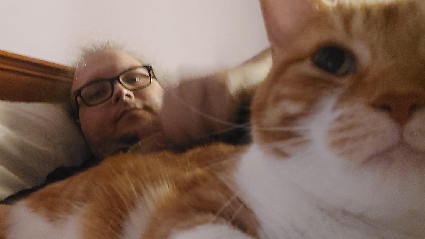 A man with thinning green hair lies in bed, an orange cat is in the foreground and takes up most of the frame